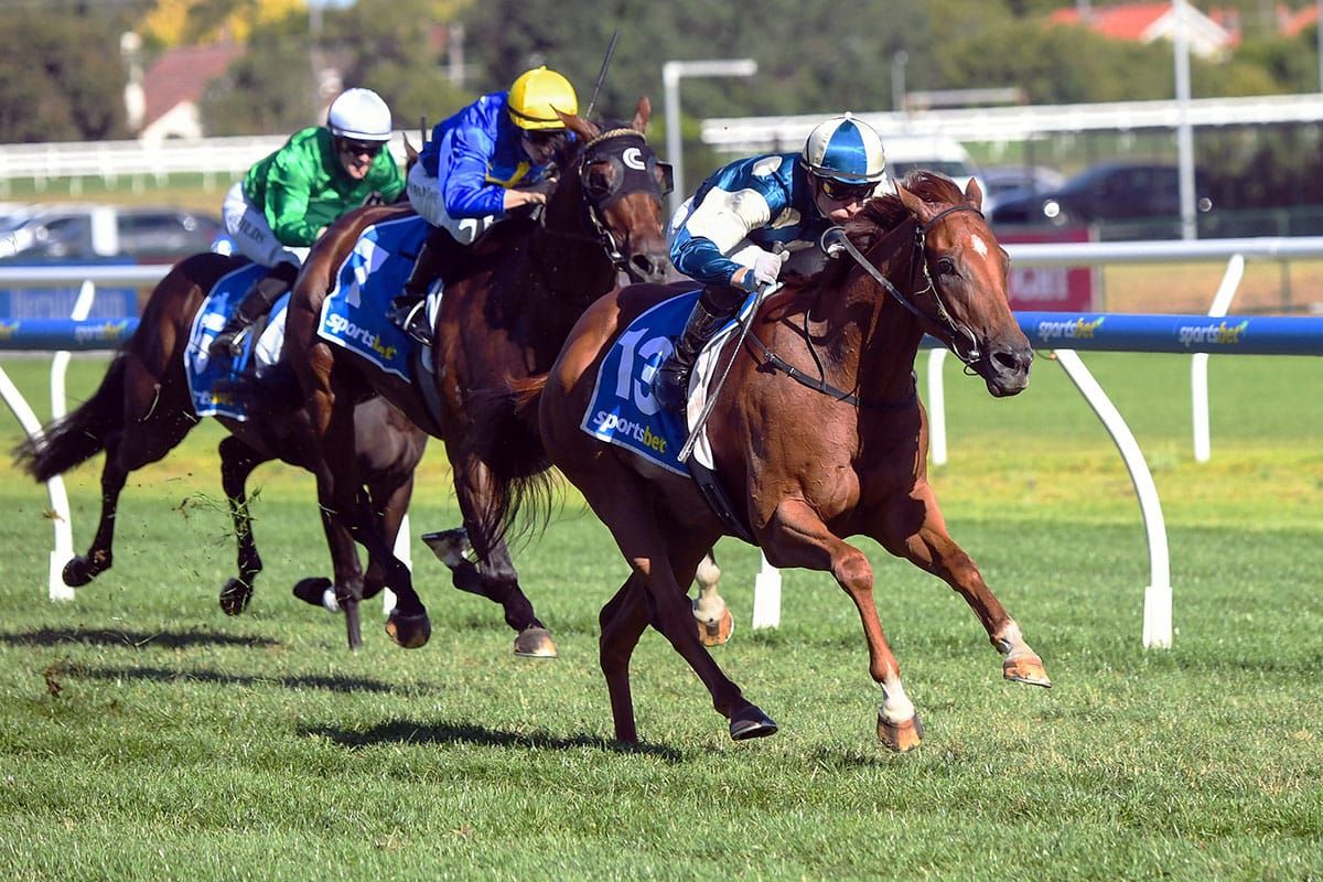 Brilliant Jimmysstar offered All-Star berth after Caulfield triumph
