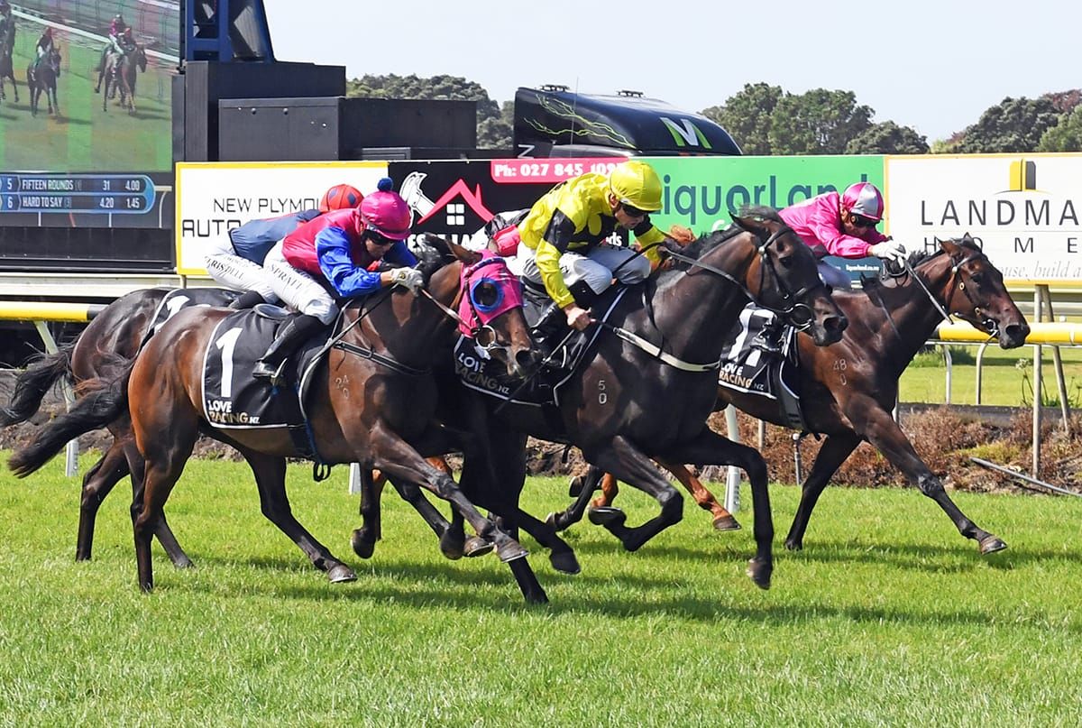 Khanshe looking to strengthen Oaks claims