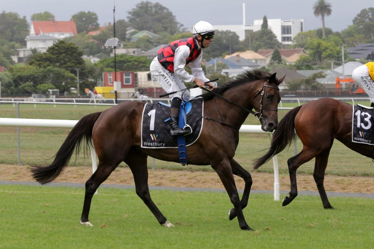 La Crique back in work
