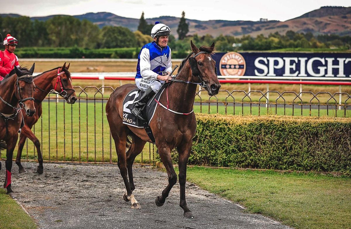 Collect Your Cash delivers local Guineas win