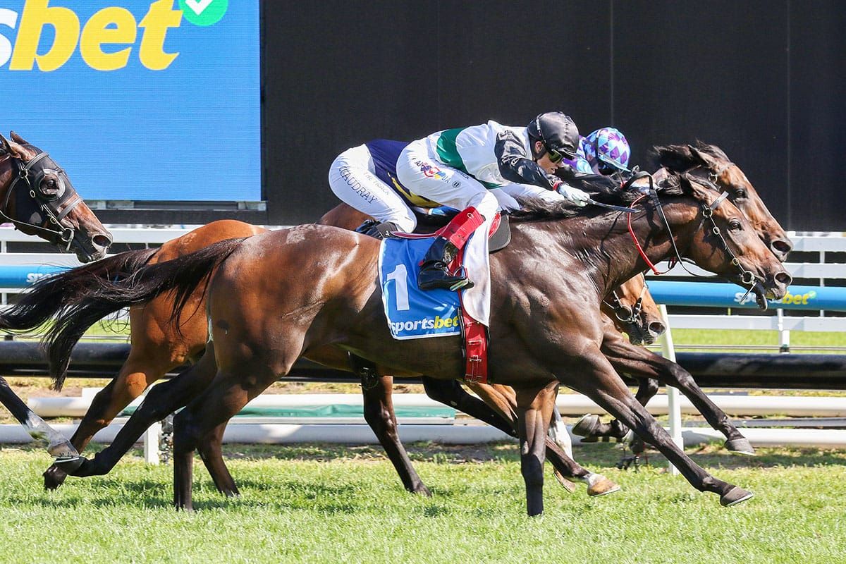 Brightside building up for Memsie