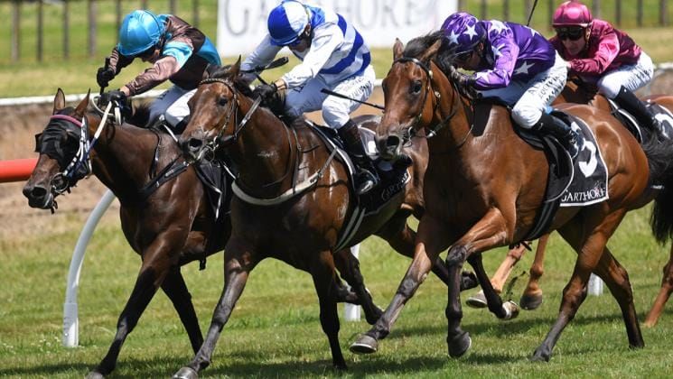Doubles for Ballymore and Pencarrow at Tauranga