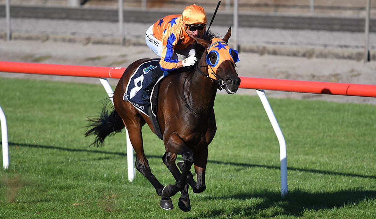 Te Akau turn attention to South Australia targets
