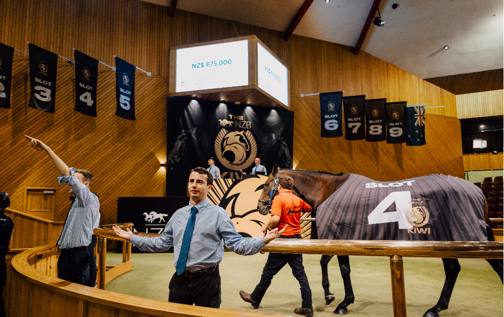 Phenomenal Results Achieved at The NZB Kiwi Slot Auction