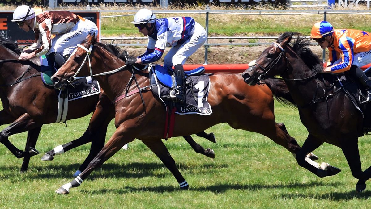 Skyman after first NZ win