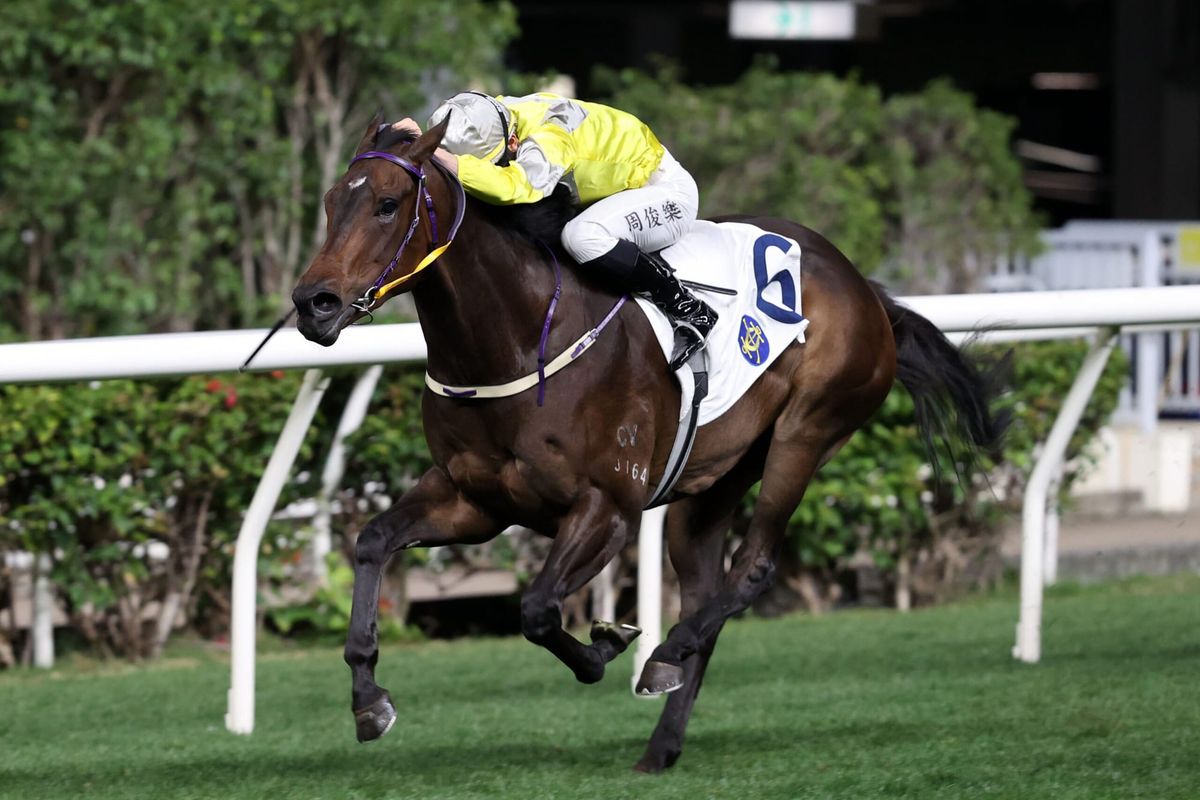 Son of What’s The Story impresses on HK debut