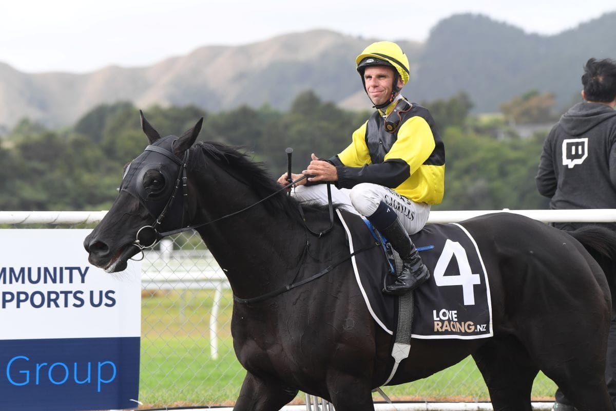 St Leger Trial goes to The Underbelly