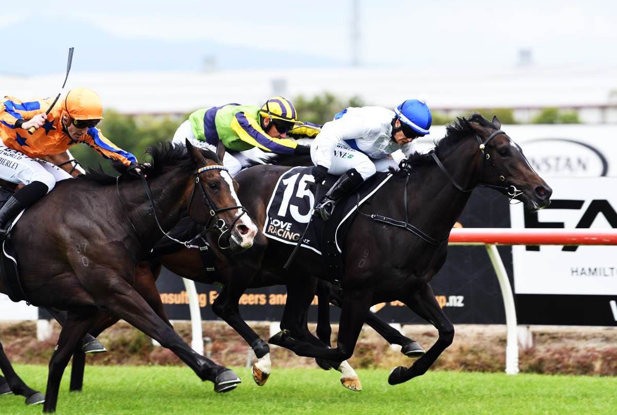 Pike fillies show class at Te Rapa
