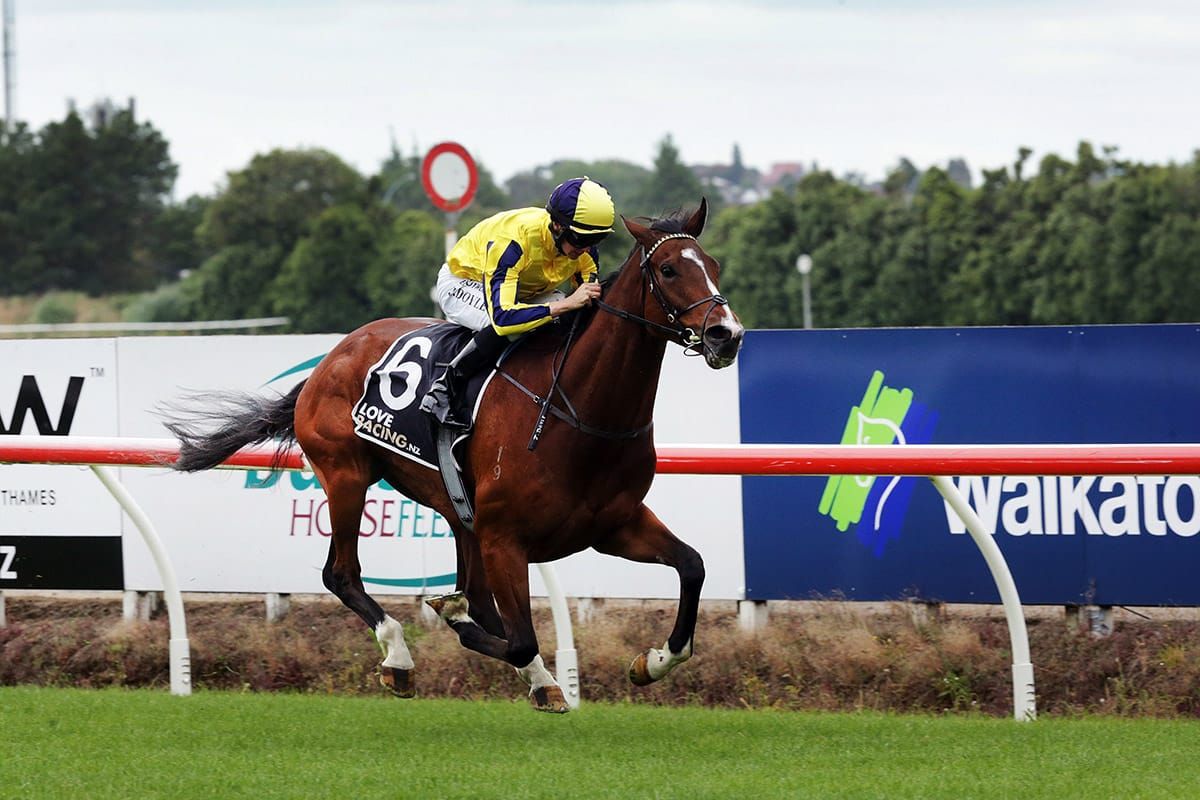 Wexford sprinters eye spring targets