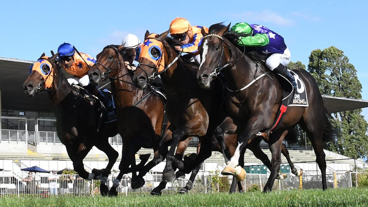 Te Akau looking to regain Derby Throne