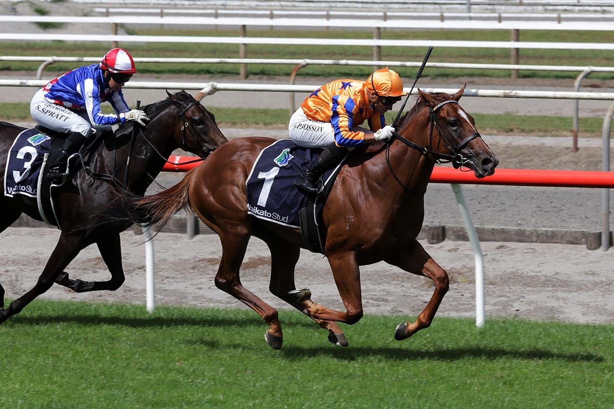 Te Akau filly up for Group One challenge