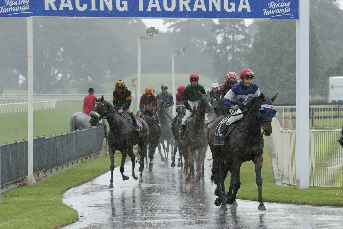 Diss Is Dramatic boosts broodmare value