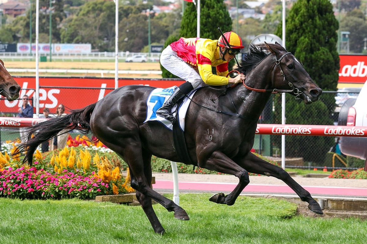 Eternal Flame deals to family’s unfinished business