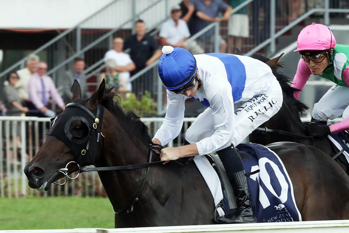 Harlow Rocks heads Pike’s Taupo chances