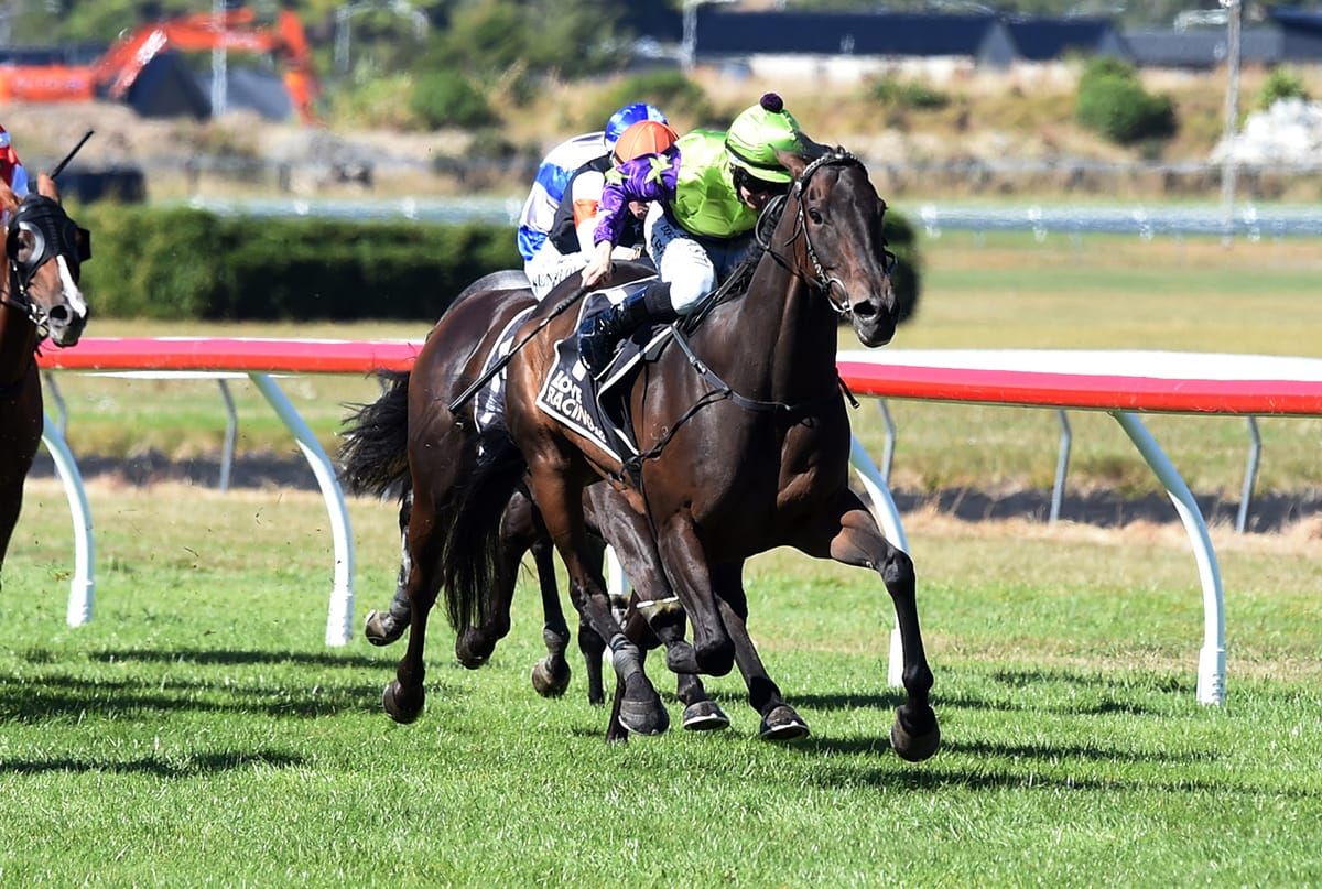 Stable star searching for Group One win