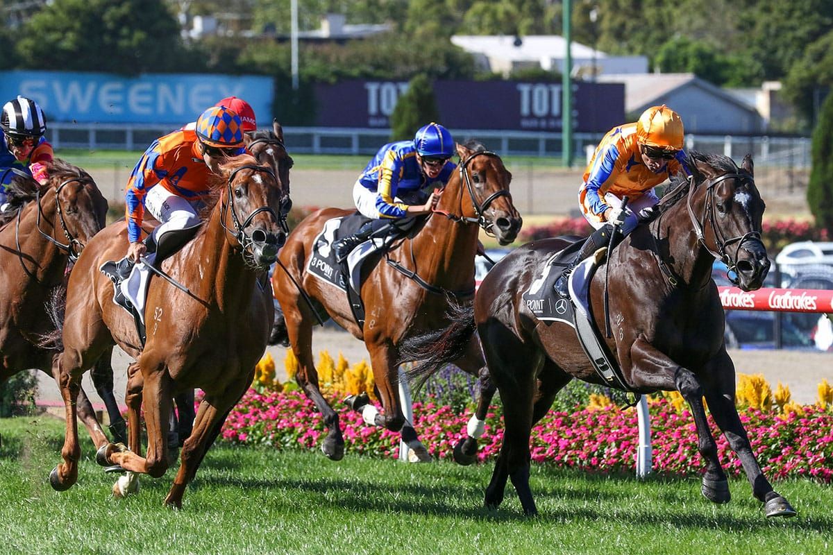 Tenth Group One for incredible Imperatriz