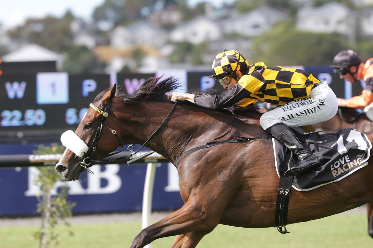 Jaarffi spearheads quality Noble line-up