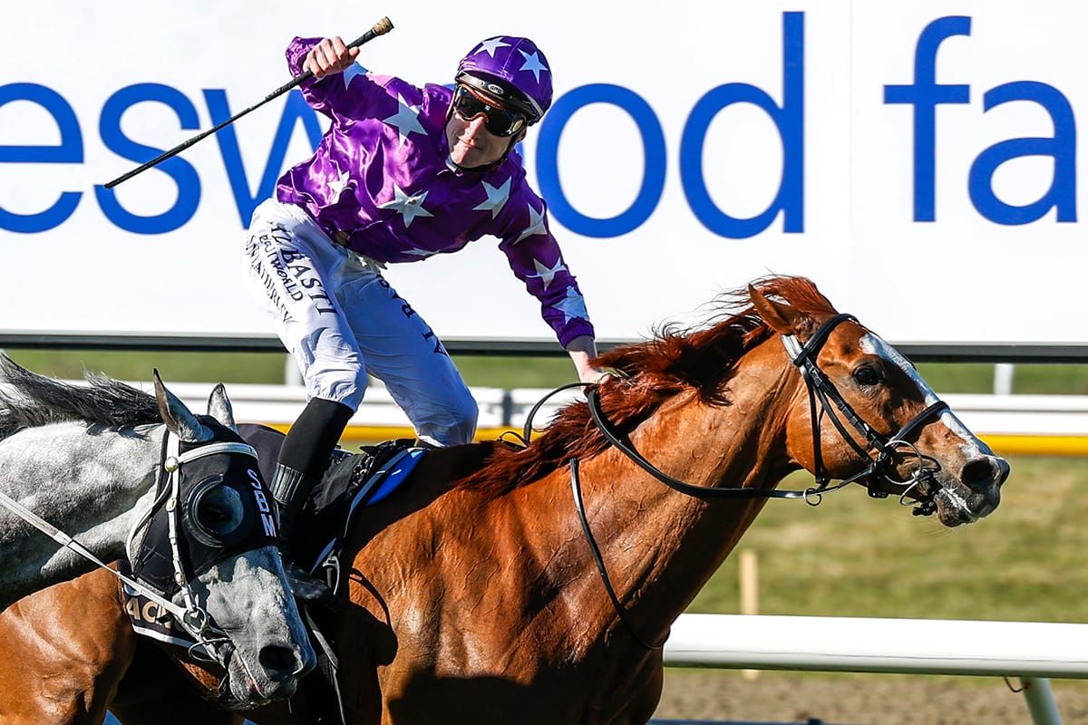 Cup hope Mahrajaan in good order for Herbert Power
