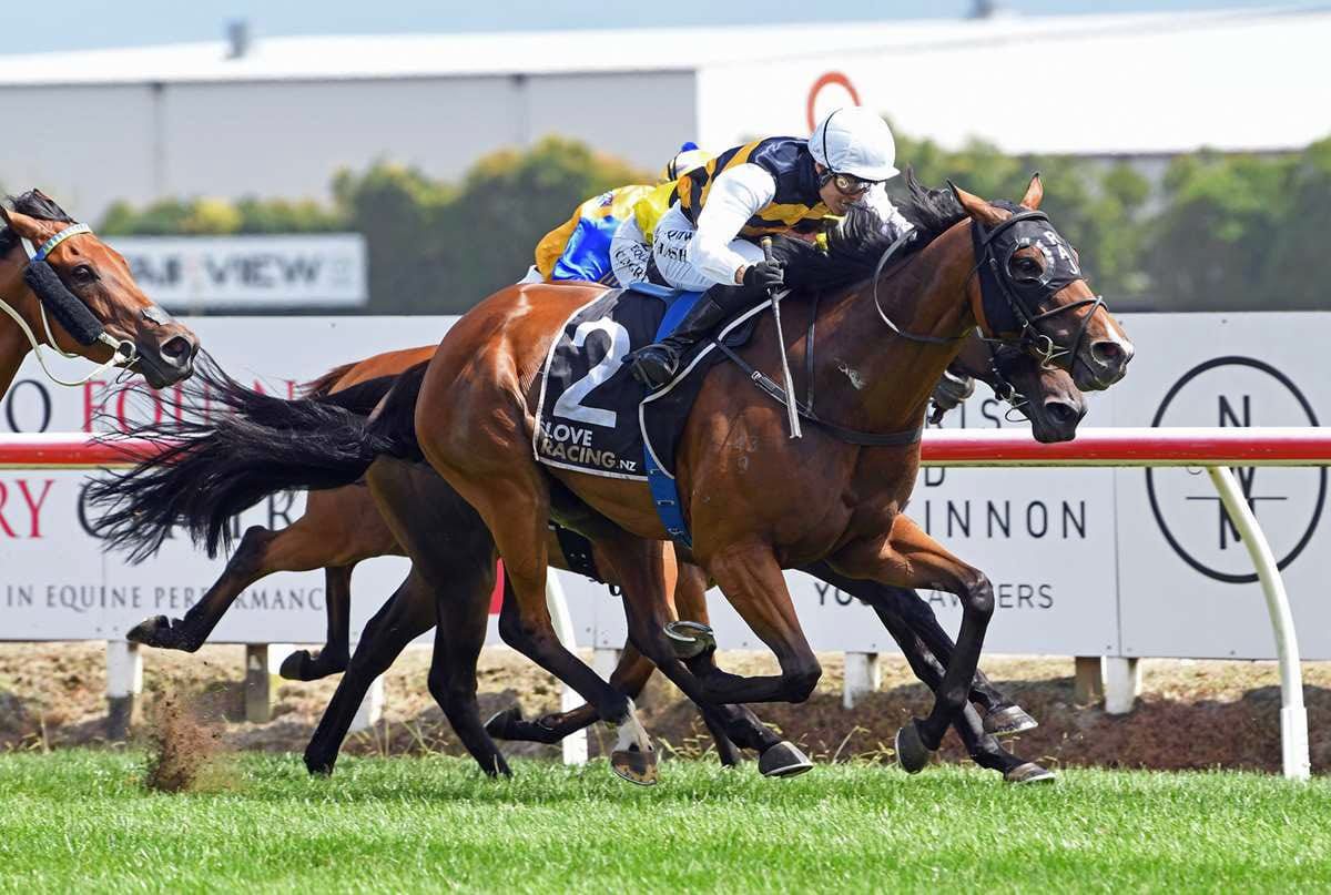 Kingsclere after first Auckland Cup