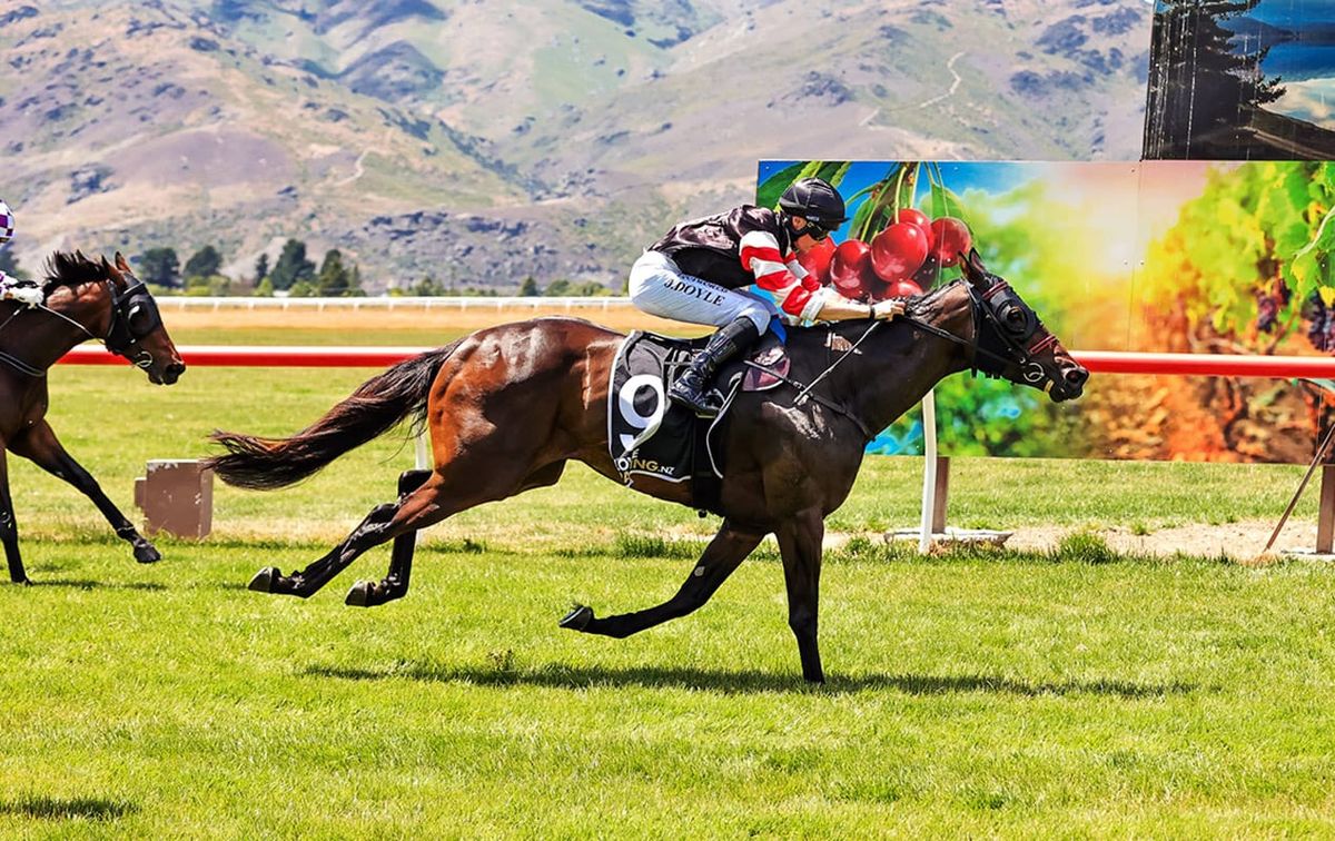 Rain poses challenge for Adiktiv Passion