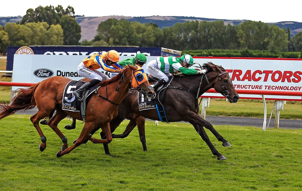 Shockallia to target home Cup