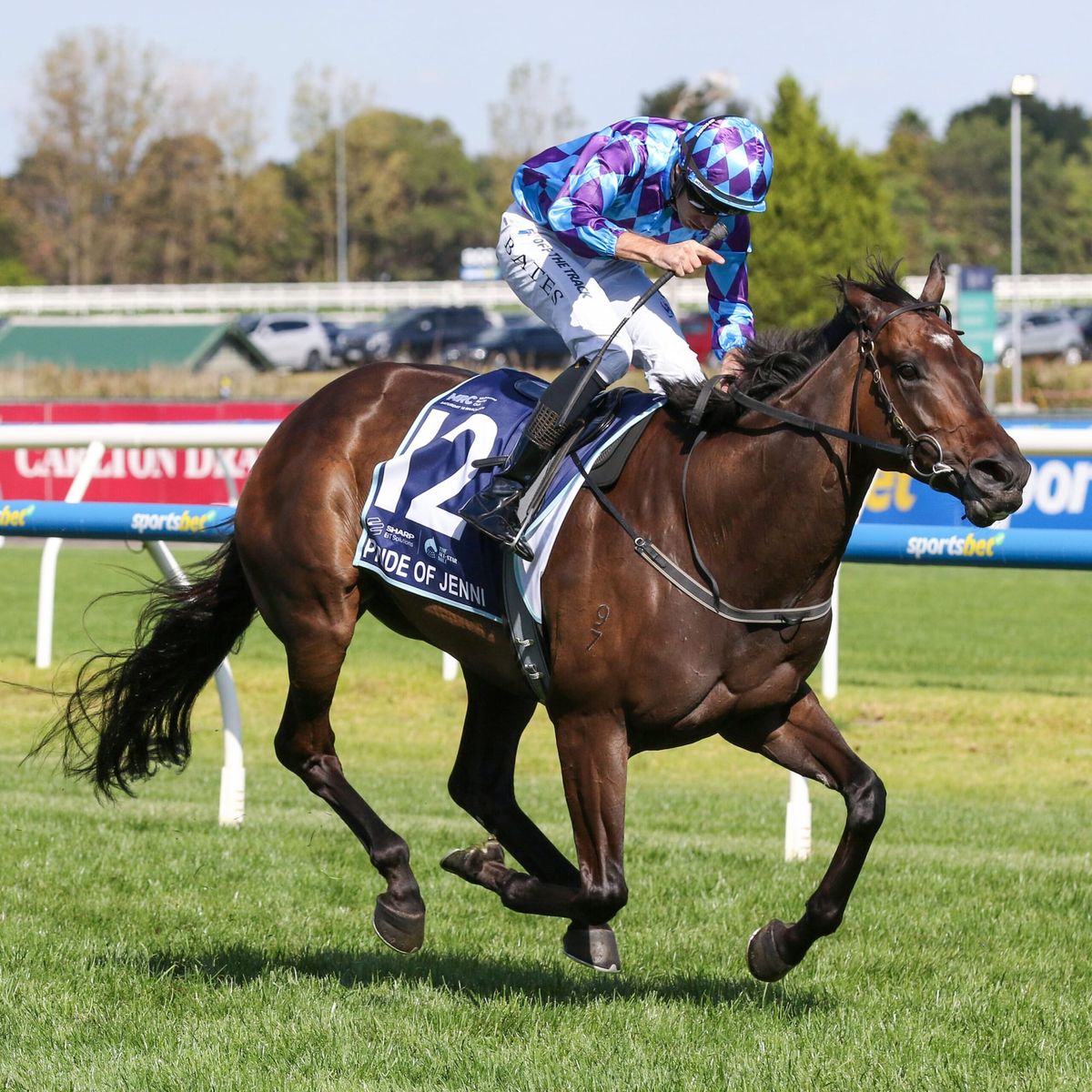 Cox Plate focus for Pride Of Jenni