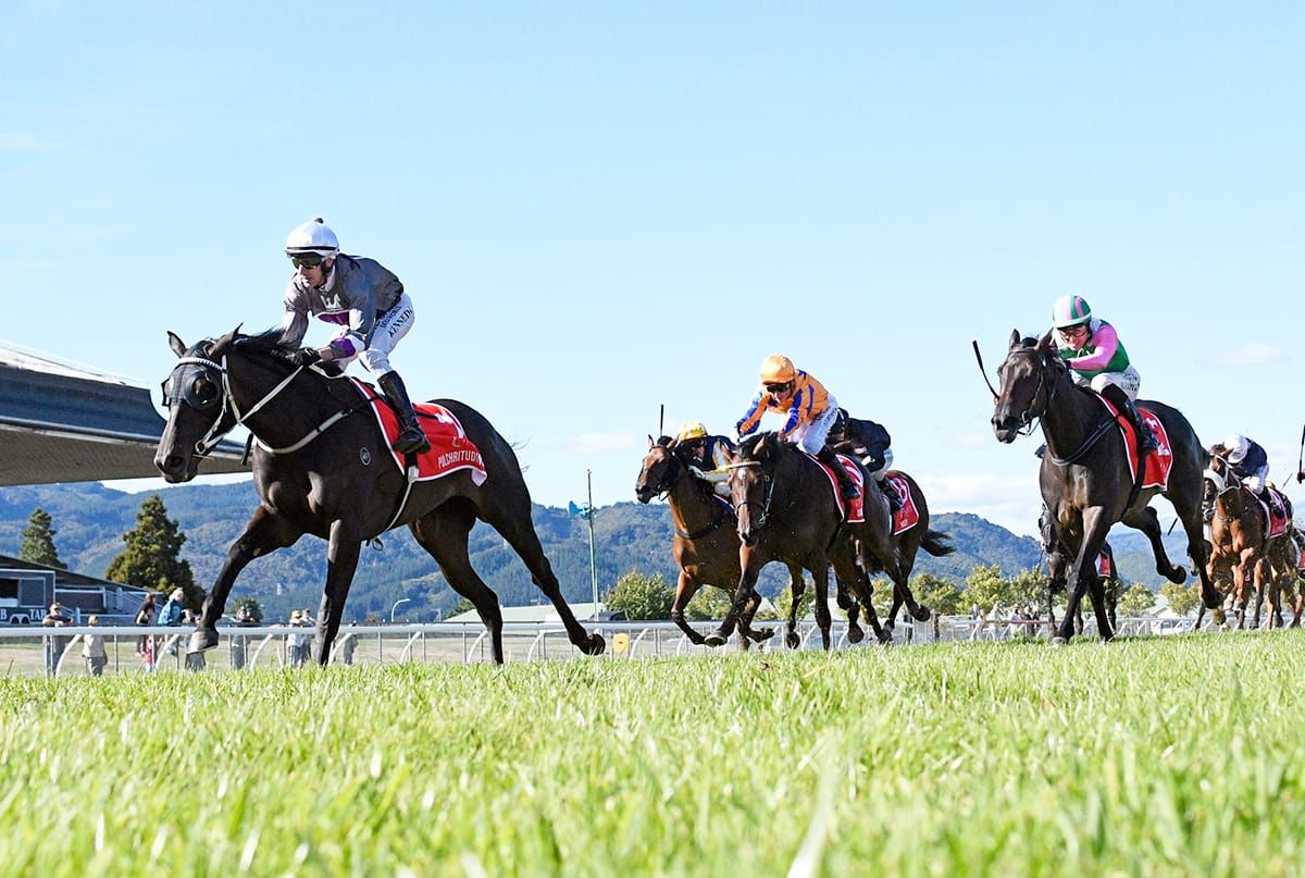 Oaks heroine gives Ormsby a different kind of Group One