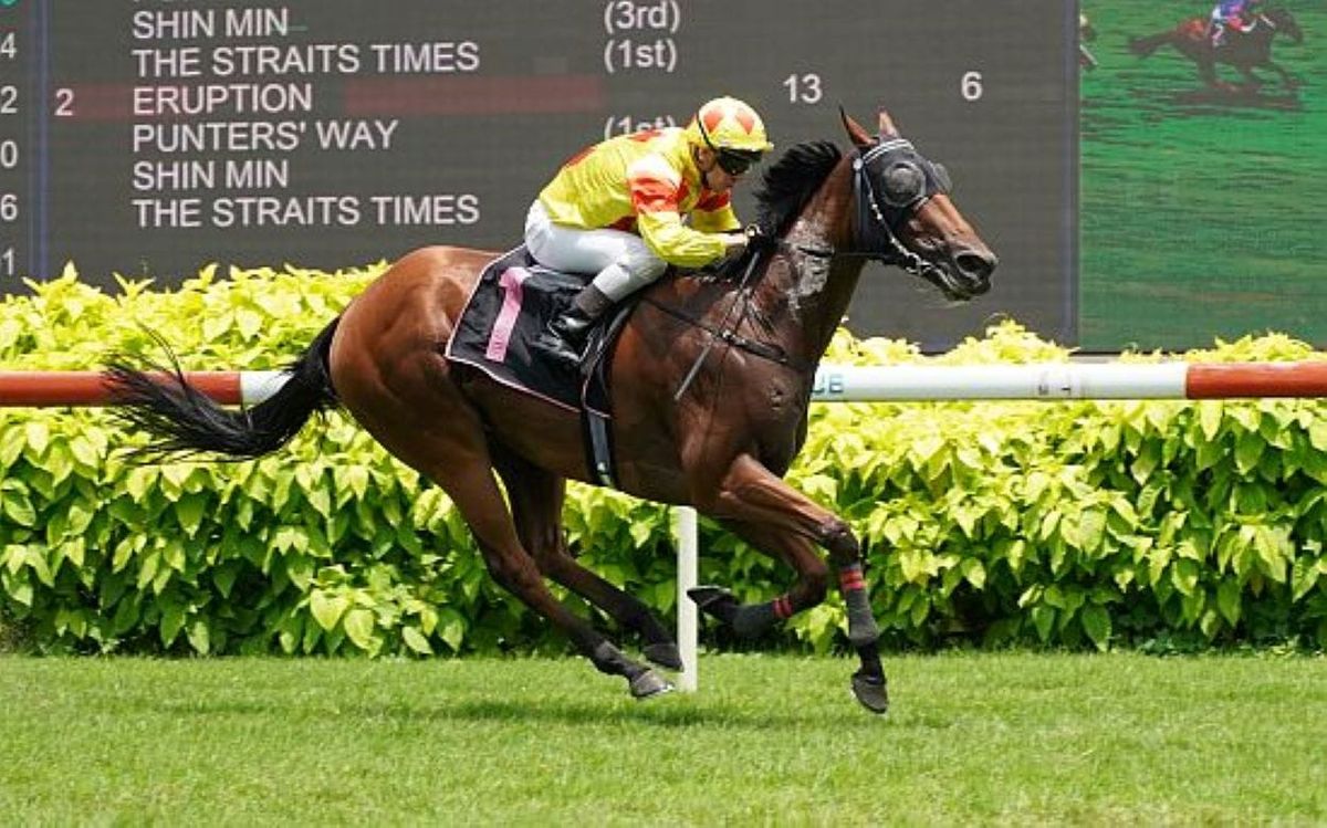 Sabah Ace returns to the winners circle