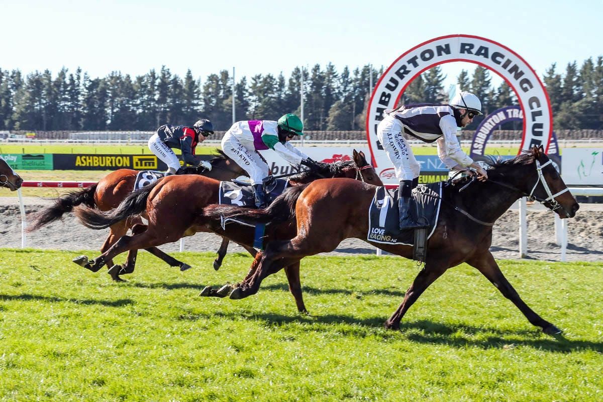 Sea Shepherd looking to get back on track