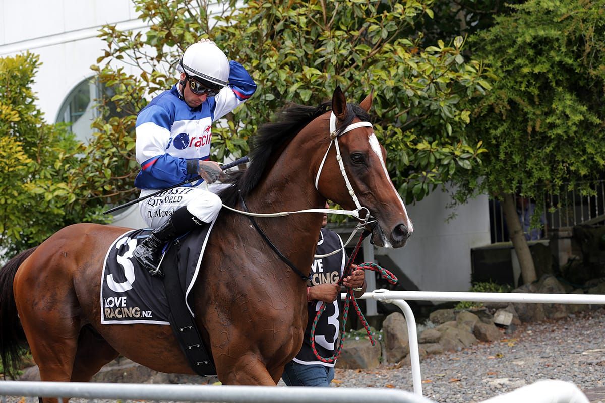 Marsh pair use Japan Trophy as stepping stone