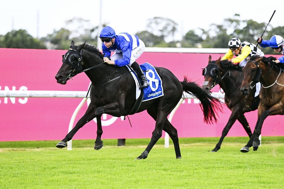 Derby path for Savabeel’s Wymark