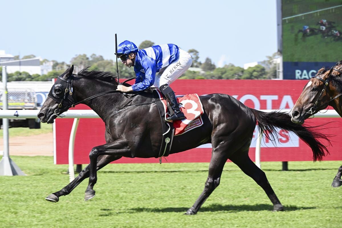 Freedman’s Derby hope has Mark of a good horse