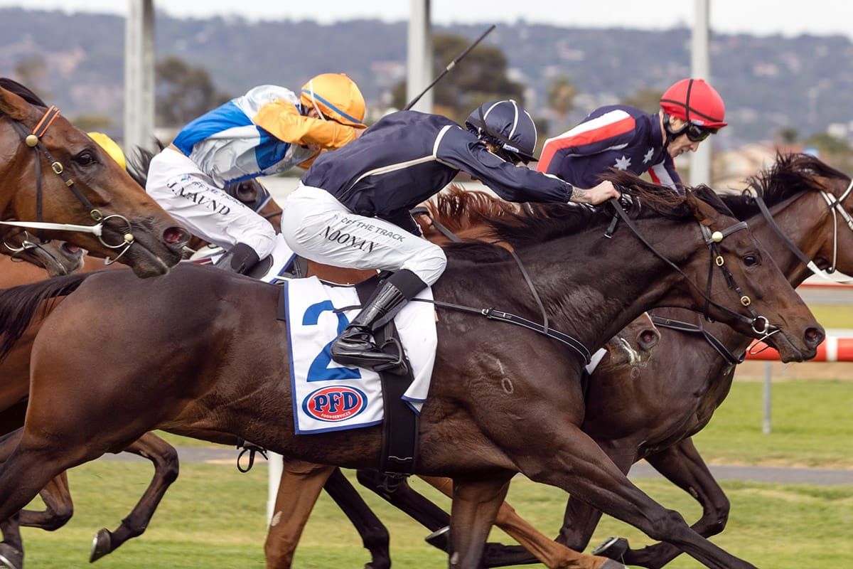 Another Derby beckons Bold Soul