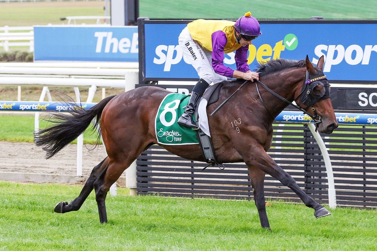 Disturbia all the way at Mornington