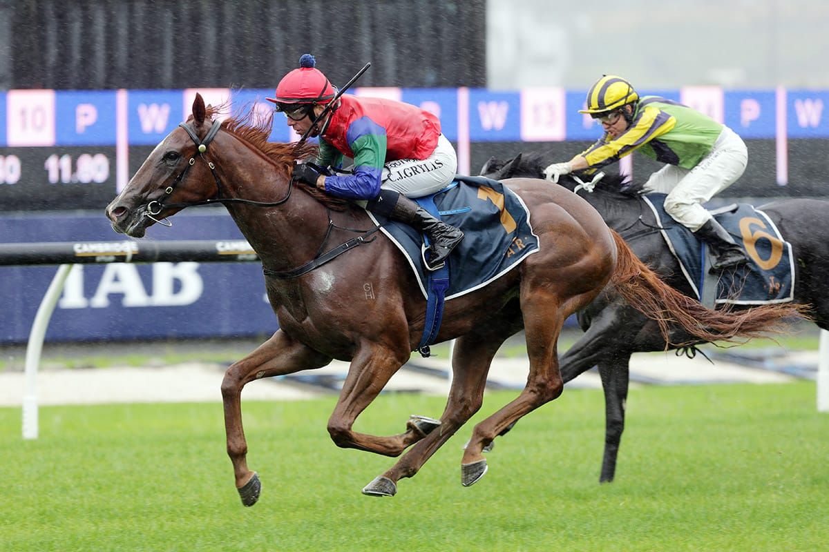 Rogerson targeting Te Rapa race days