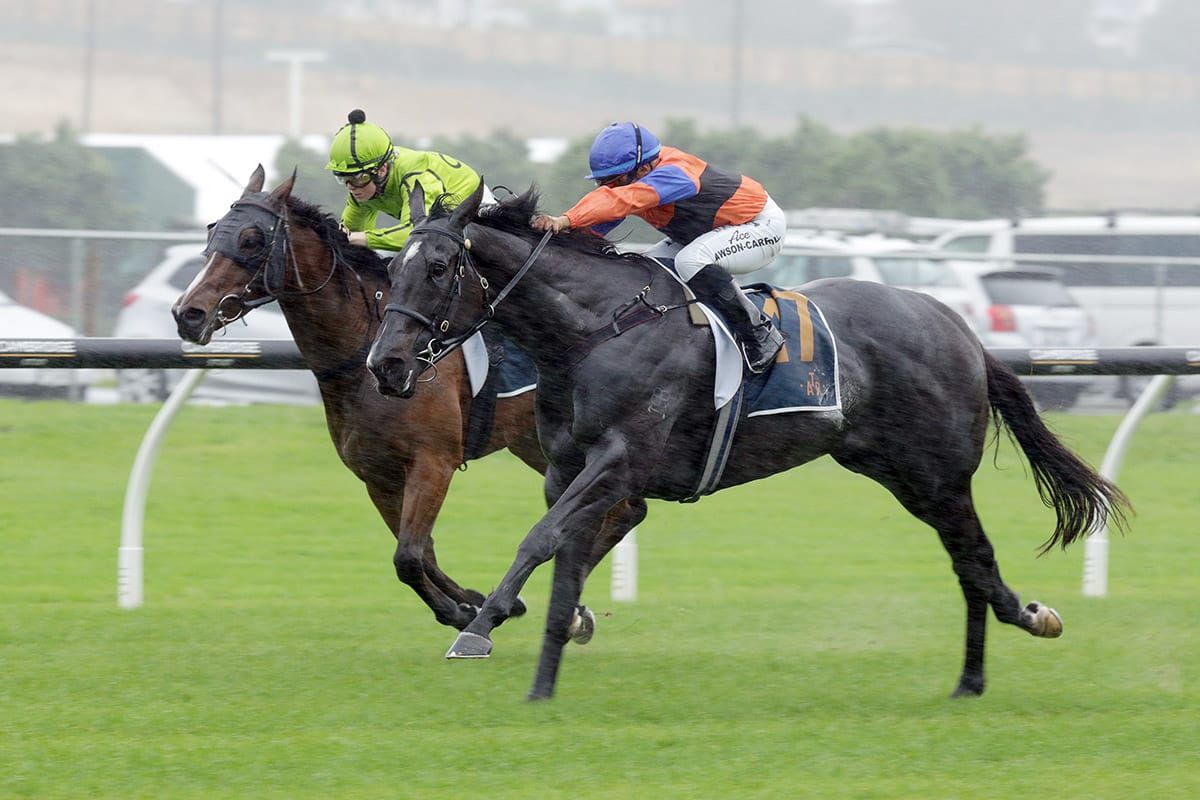 Australia beckoning Espadas