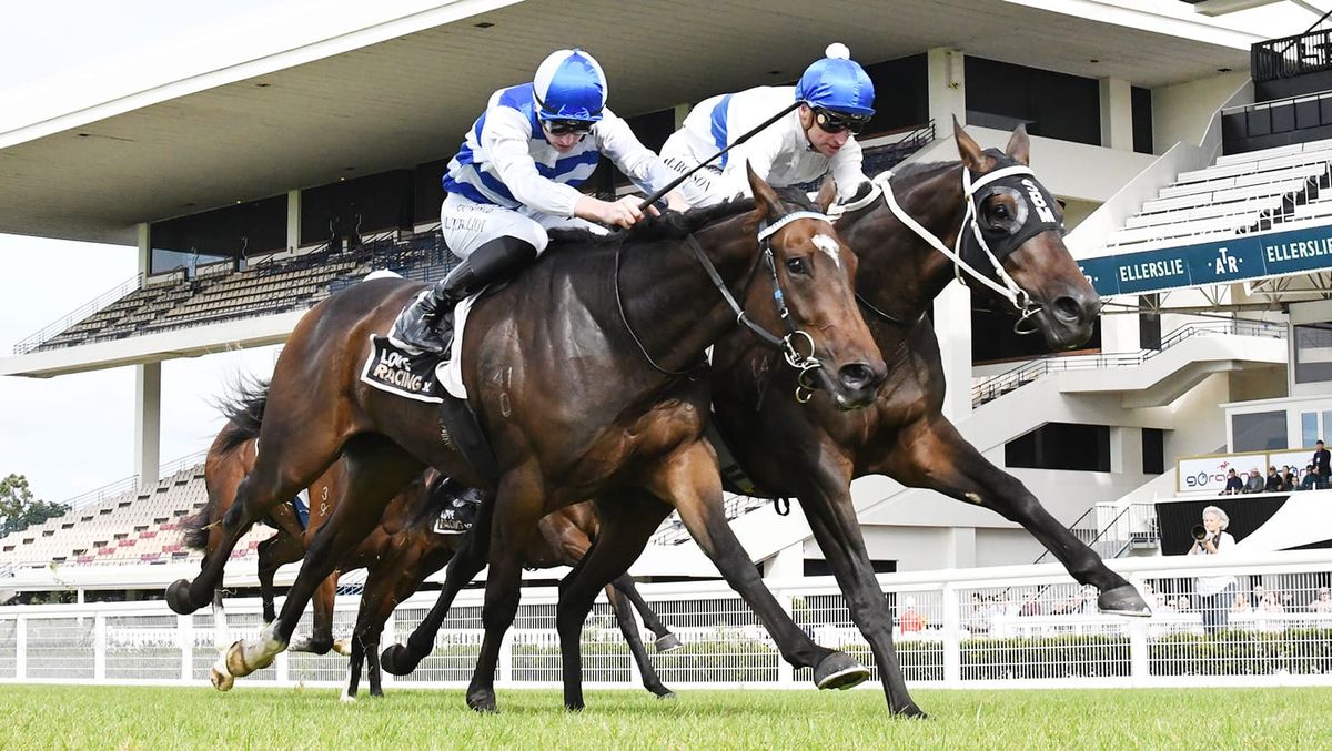 Ellerslie get the all clear