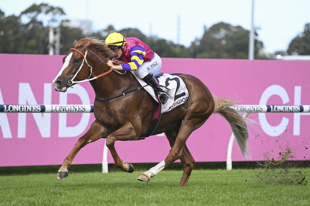 Mr Mozart to stand at Highview