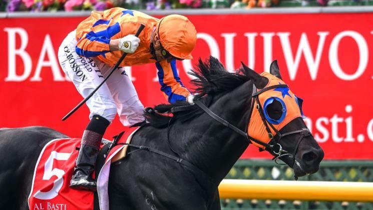 Regally-bred colt to make debut at Rotorua