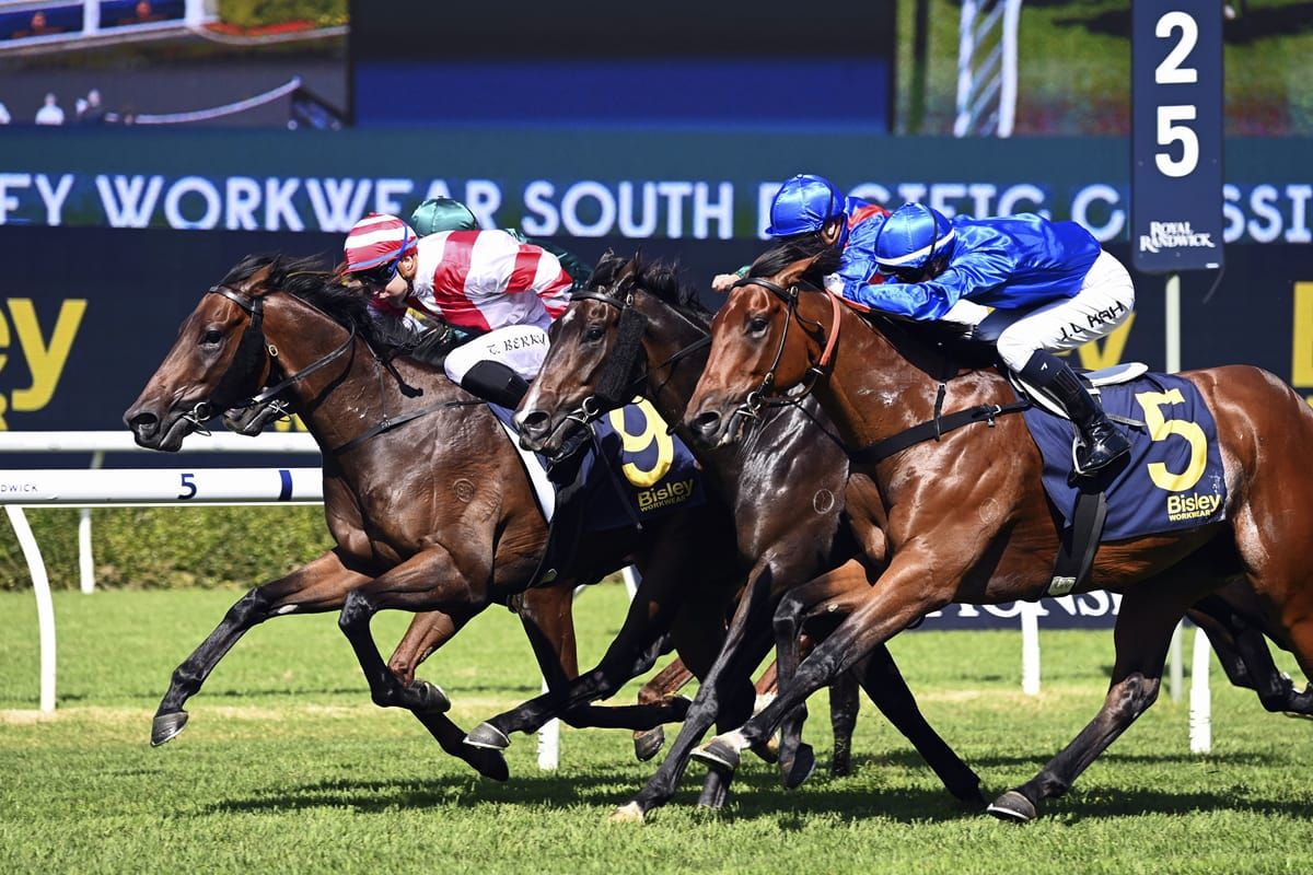 Wide Guineas draw no reason to Panic