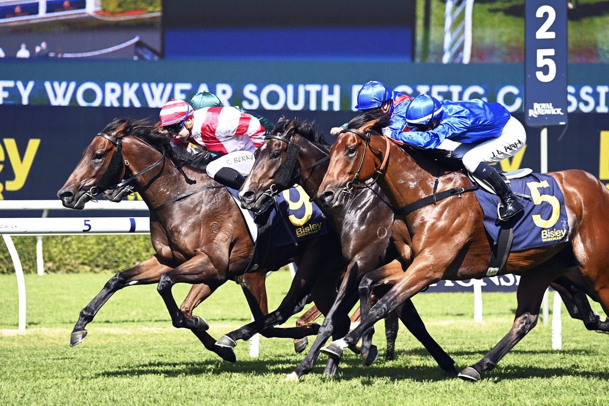 Panic continues Freedman’s winning roll