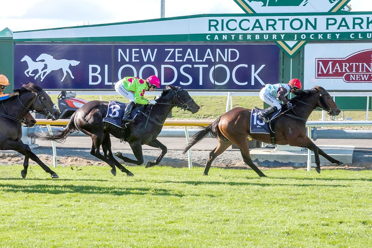 Southern raid produces black-type gold for Sassy Merlot