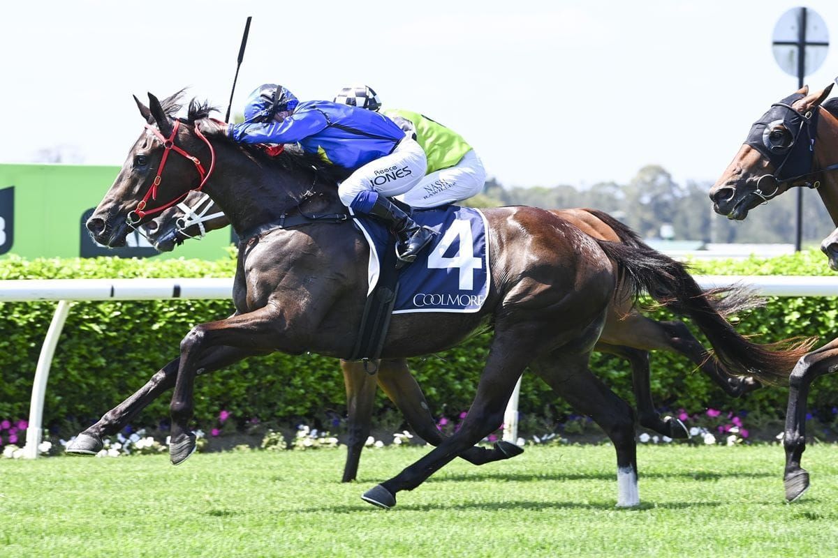 Stable chasing a Qld Derby High