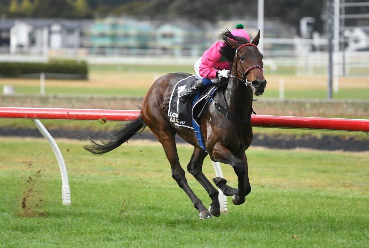First Gear caps big week for Grays