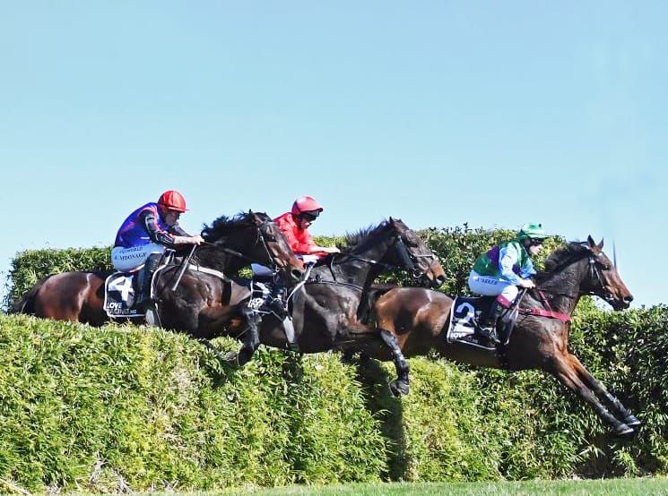Hey Happy bolts in at Te Rapa