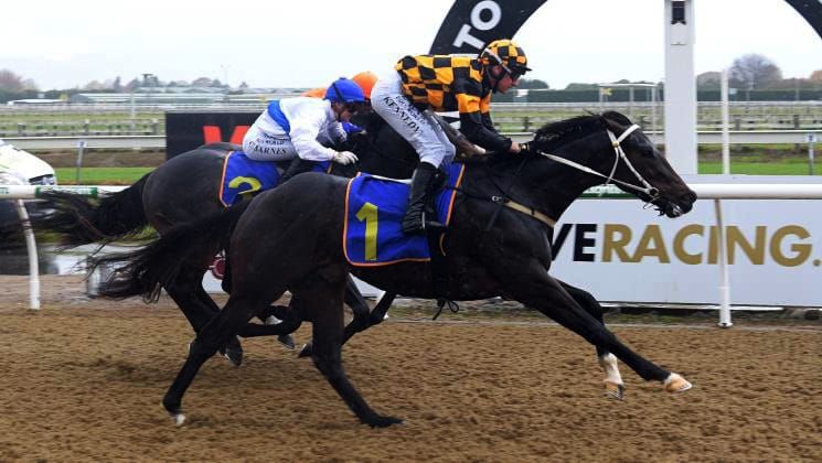 I'm All In scores at Cambridge