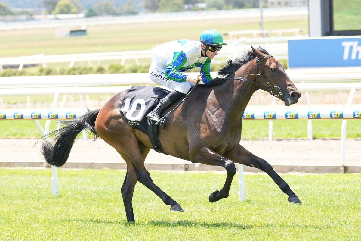 Knucklebones out for Caulfield revenge
