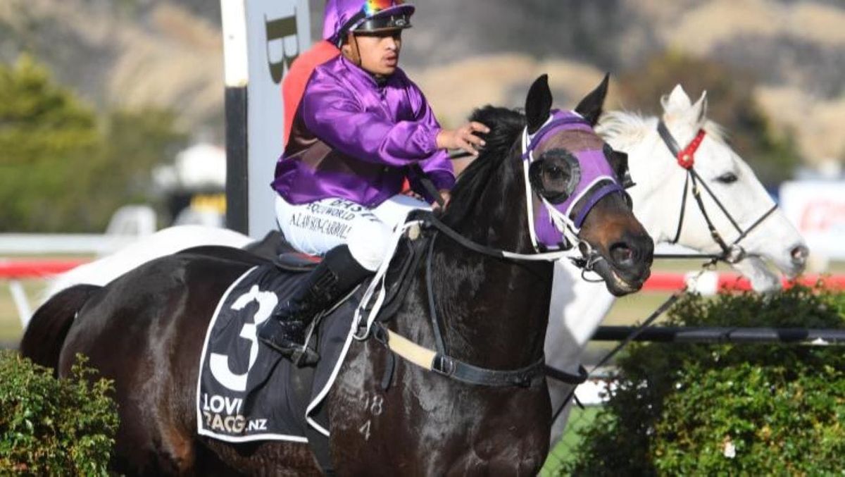 Latta and Lawson-Carroll shine at Trentham