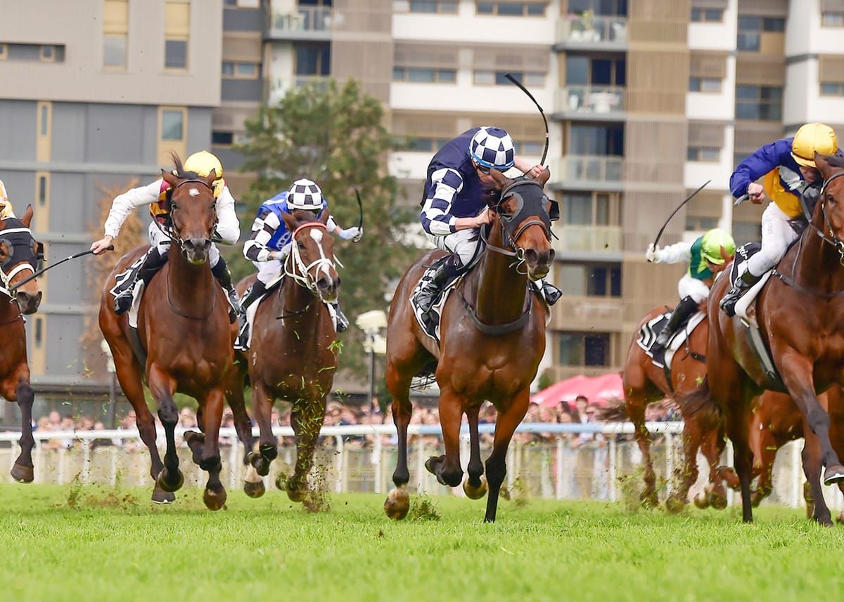 Group Three win bolsters Maracana’s value
