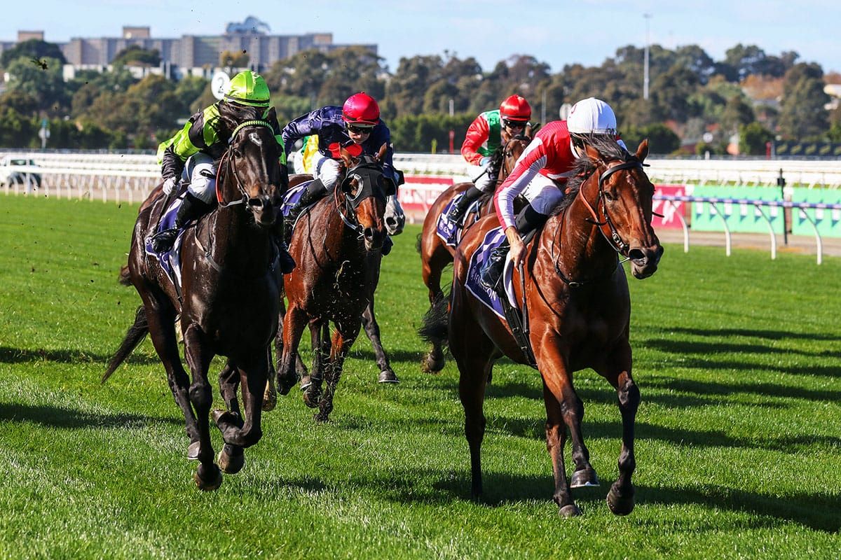 Niance bounces back at Flemington